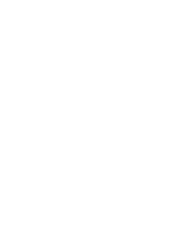 Logo Hotel Flora